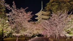 dior-fall-2025-kyoto