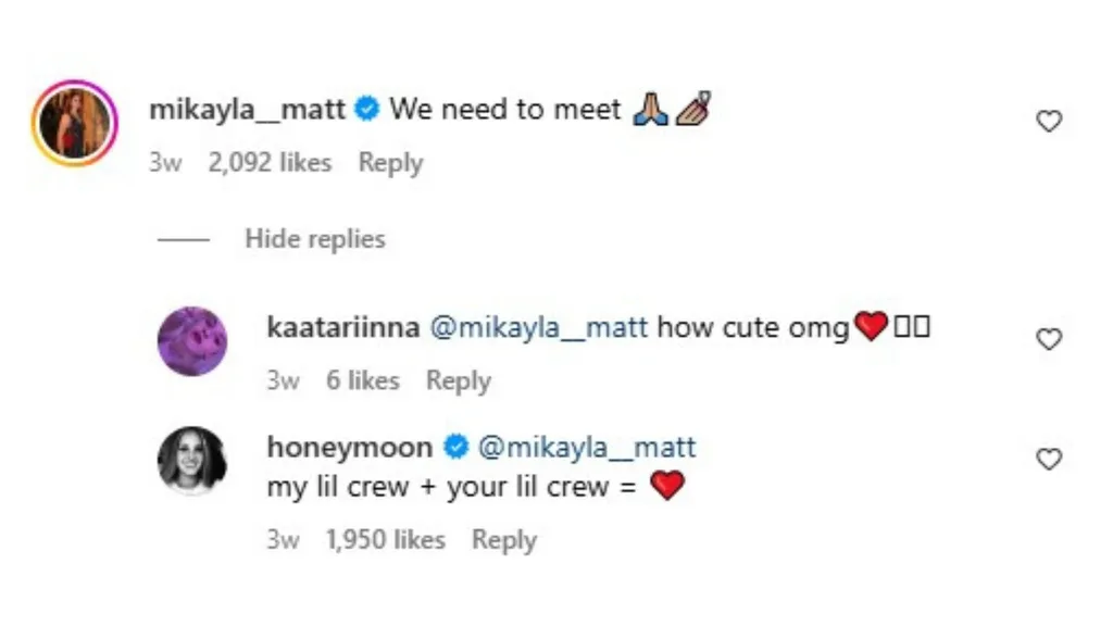 Comments between the secret lives of mormon wives cast and lana del rey on Instagram