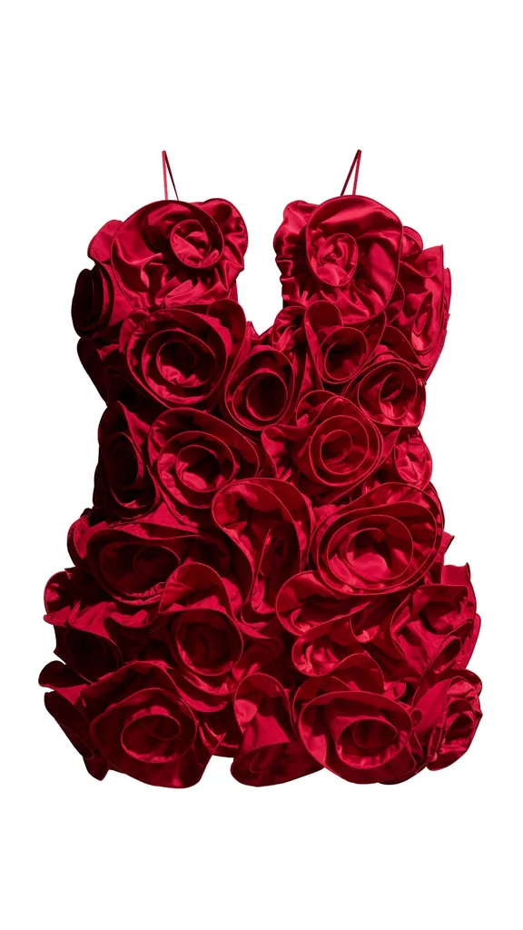 Magda Butrym H&M Ruffle Satin Dress