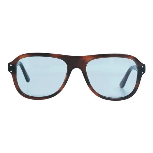 Best Tinted Lens Sunglasses_P. Johnson Avedon Havana Sunglasses