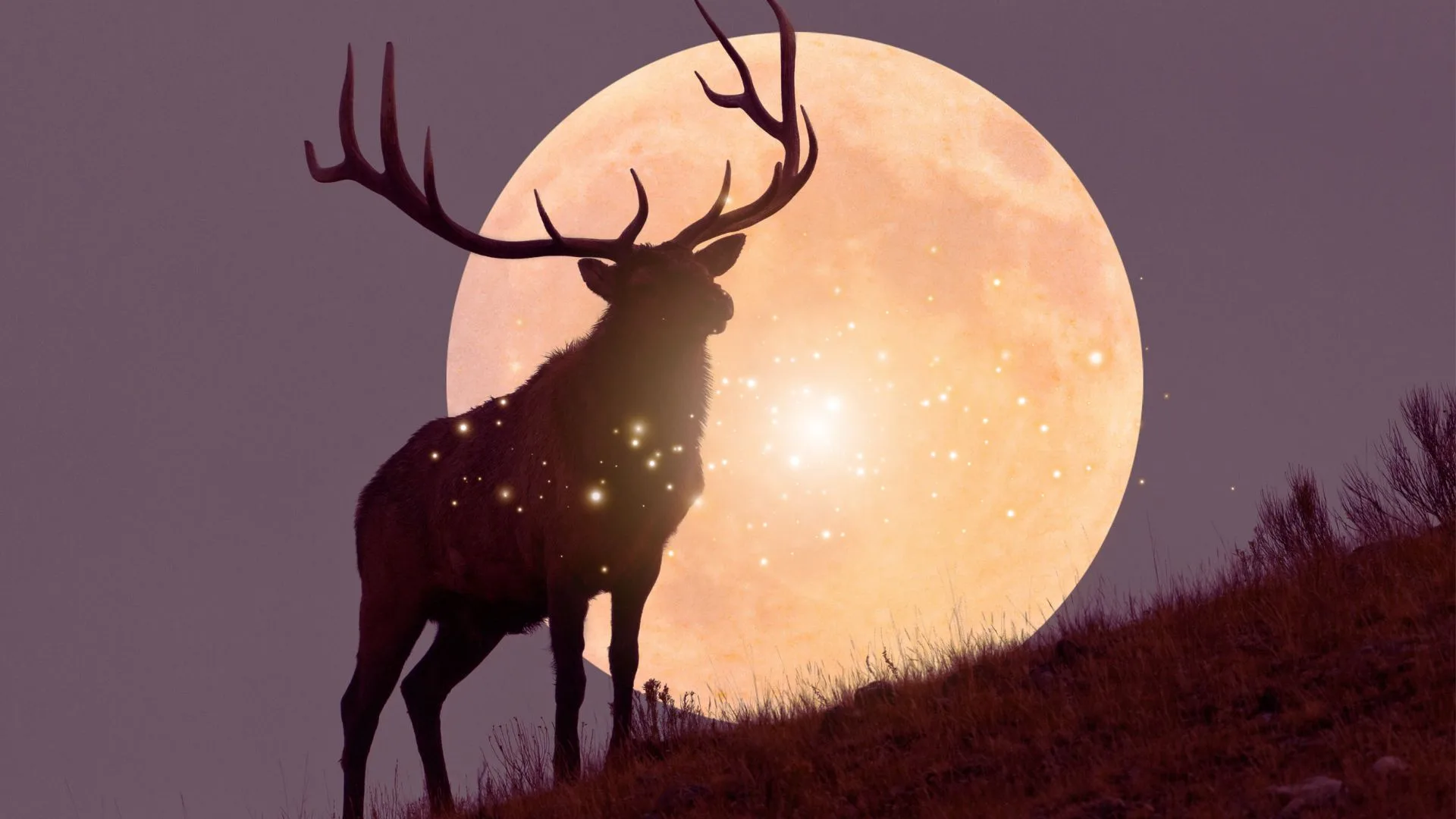 July Buck Moon In Capricorn