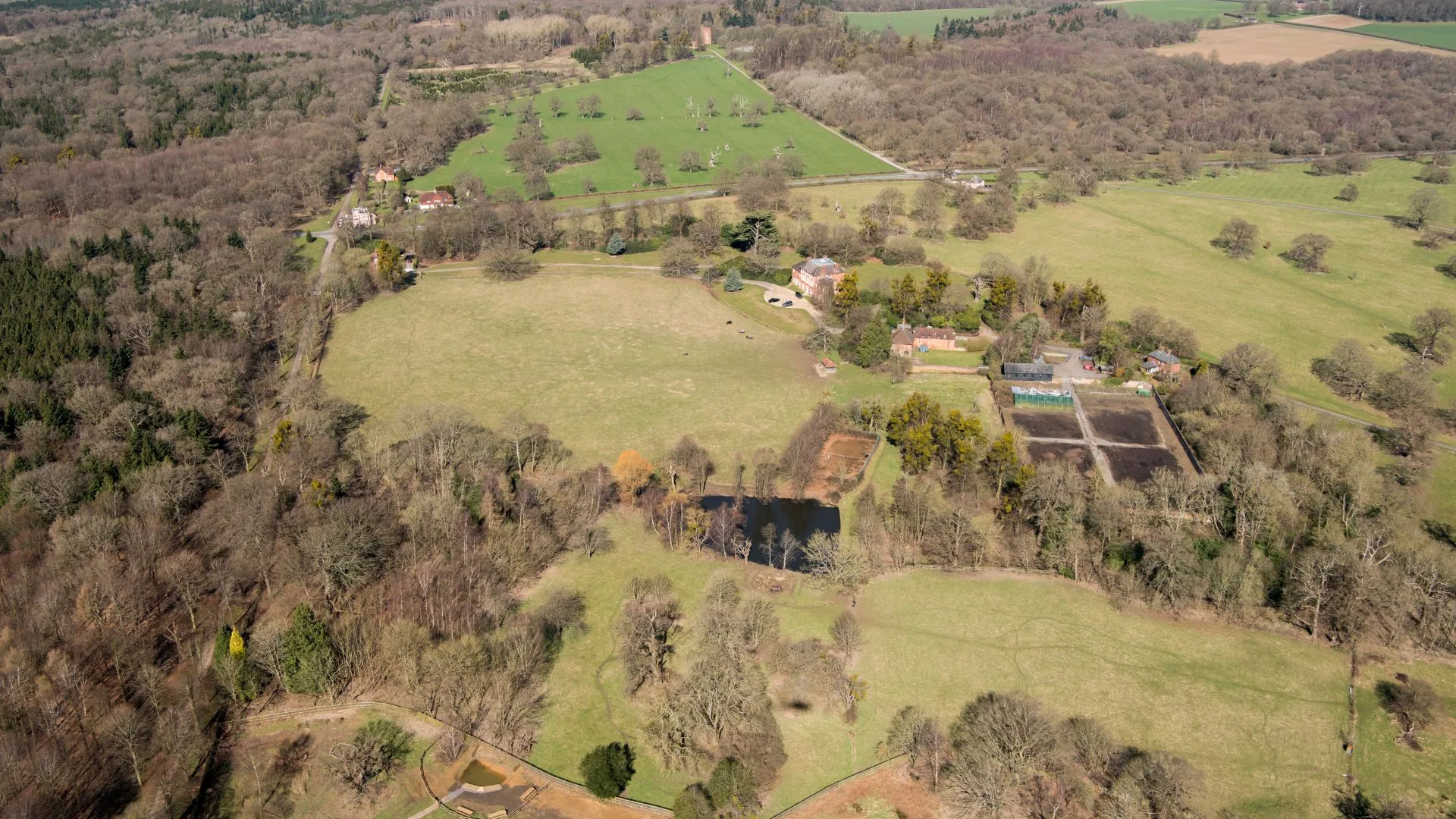 The grounds around forest lodge 
