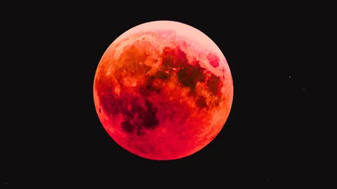 What Time Is The Blood Moon Tonight? Your Guide To The Lunar Eclipse
