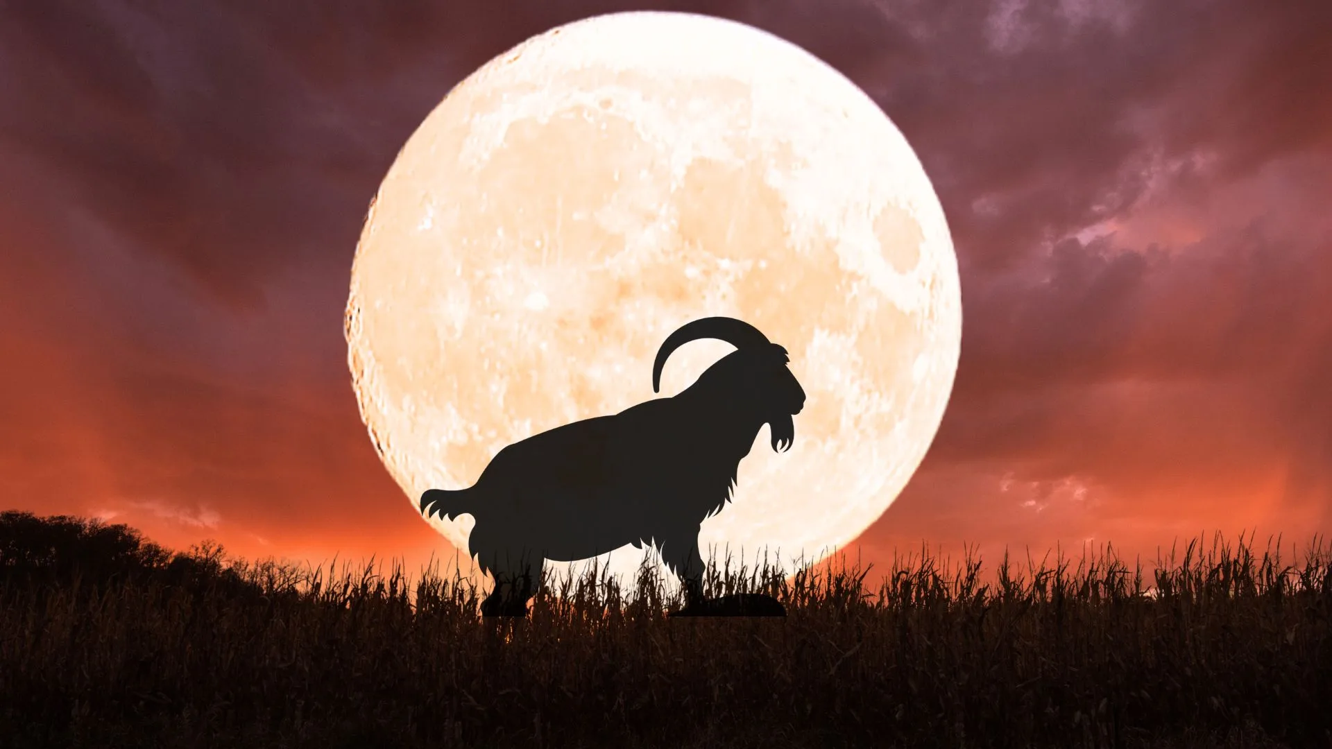 Full moon in aries