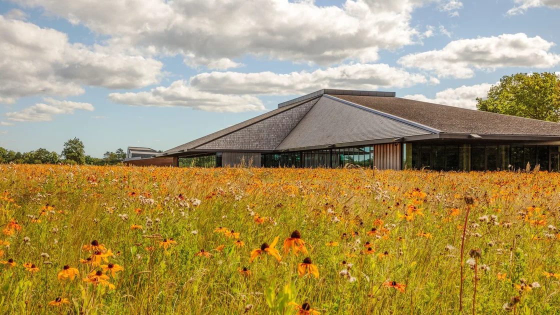 How ECCO’s Quiet Danish Roots Are Shaping the Future of Footwear