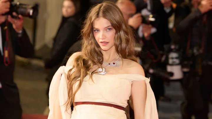 Every Breathtaking Red Carpet Moment From Cannes Film Festival 2026