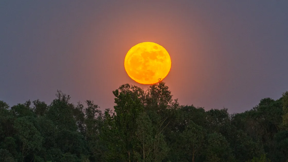 Where (And When) To See October’s Glowing Full Hunter’s Moon In Australia Tonight