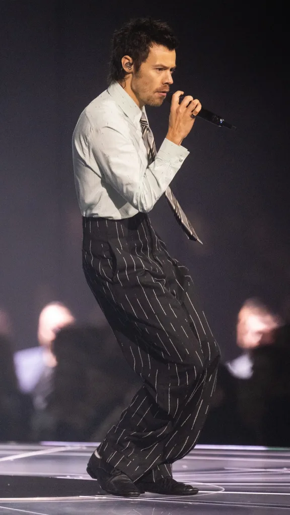 Harry Styles in concert