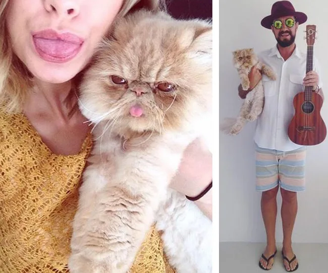 Two photos: left, person and cat both sticking out tongues; right, person holding same cat and ukulele, wearing hat.