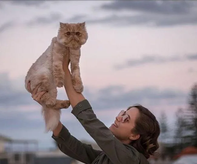 Person holds a fluffy cat up in the air against a cloudy sky at dusk.