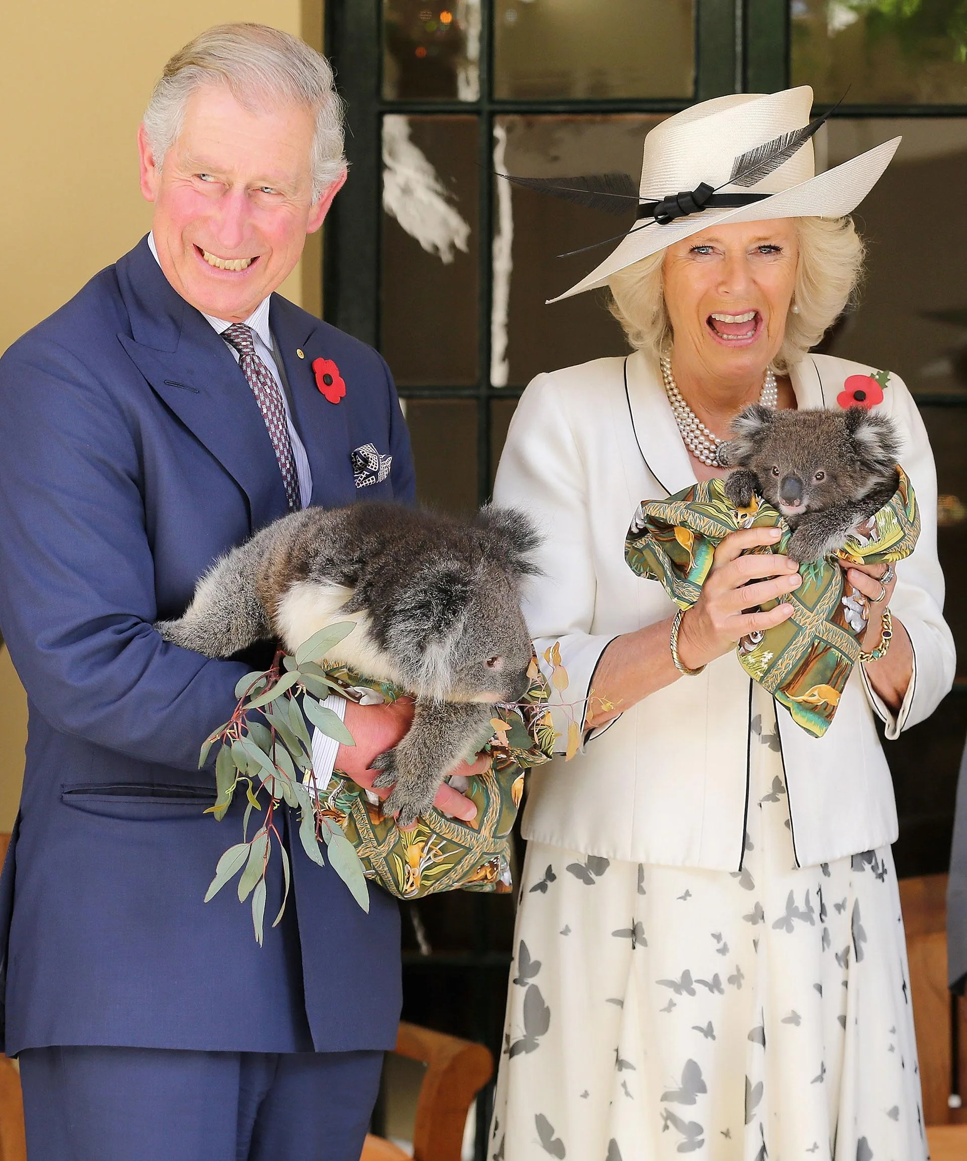 King Charles and Queen Camilla posing with koalas in Australia.