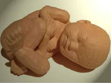 3D-printed model of a fetus, curled and resting peacefully, showcasing detailed features and realistic proportions.