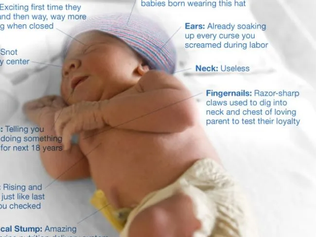 Newborn baby lying down with humorous labels pointing to different body parts, including fingers and hat.