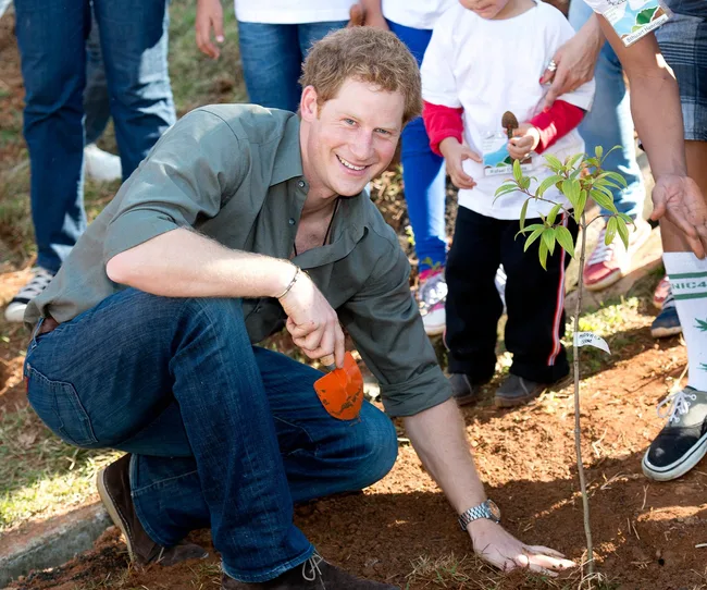 A person kneels while planting a small tree, surrounded by a group of people outdoors.