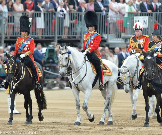 Royal guards in red uniforms on horseback during a ceremonial parade, with a crowd watching in the background.