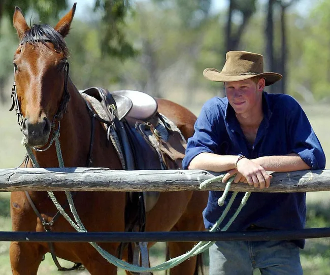 Man in a cowboy hat with a horse by a fence on a sunny day, trees blurred in the background.
