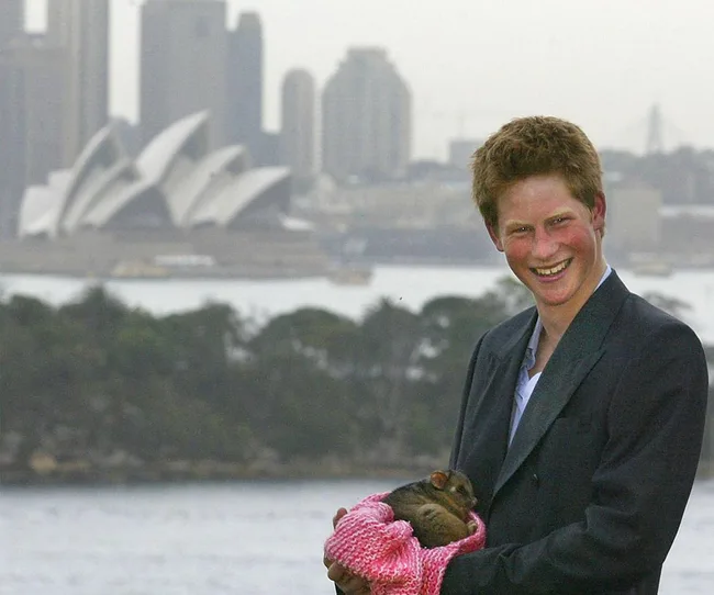 Man smiling while holding a small animal wrapped in a pink cloth, with the Sydney Opera House in the background.