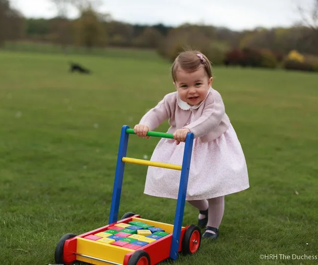 A toddler in a pink dress pushes a colorful toy on grass, smiling outdoors.