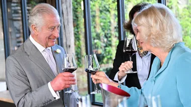 Raise a glass to the best wine subscriptions in Australia