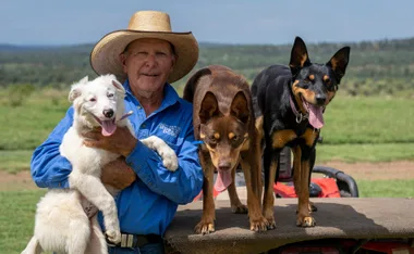 Muster Dogs’ Frank Finger: Viewers can’t get enough of the kind-hearted grazier and grandad