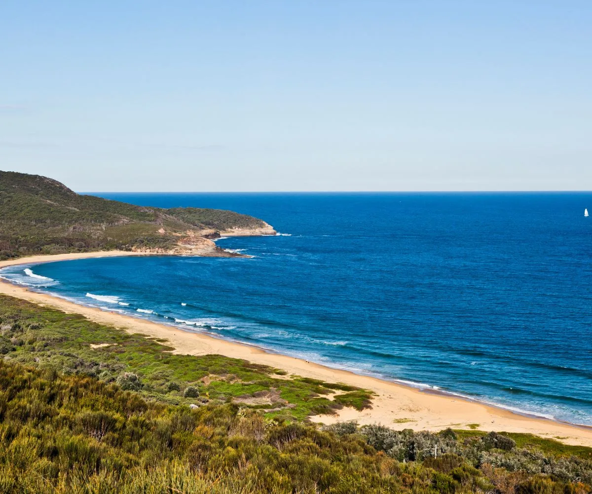 stretch of coastline at Putty Beach