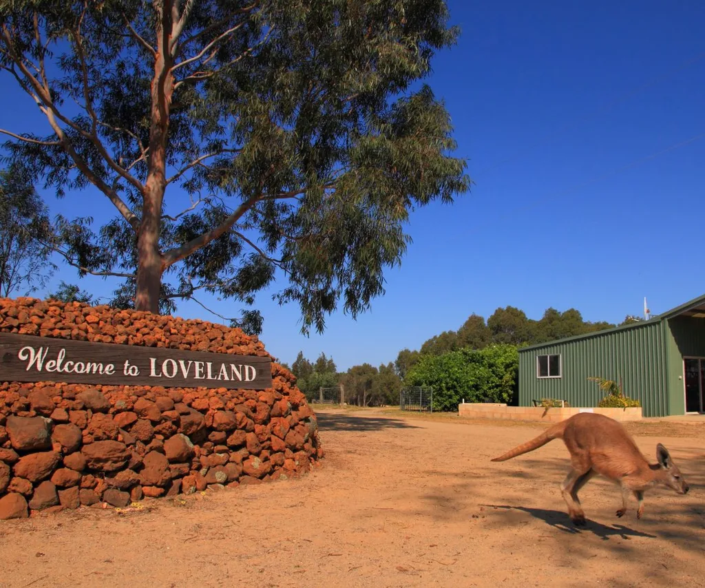 LOVELAND, a budget-friendly stay, has a kangaroo run by