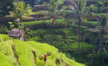 The best resorts in Bali, Indonesia to book right now
