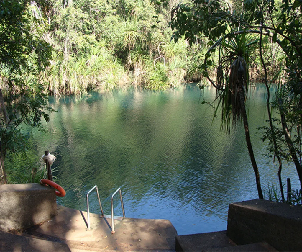 berry springs northern territory