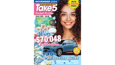 Take 5 Pocket Puzzler Issue 243