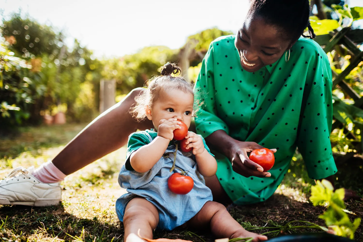 Woman picking tomatoes with toddler