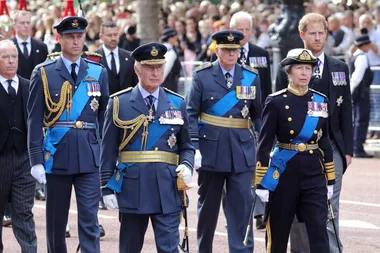 King Charles, Prince William, Prince Harry and Princess Anne at Queen Elizabeth II's funeral