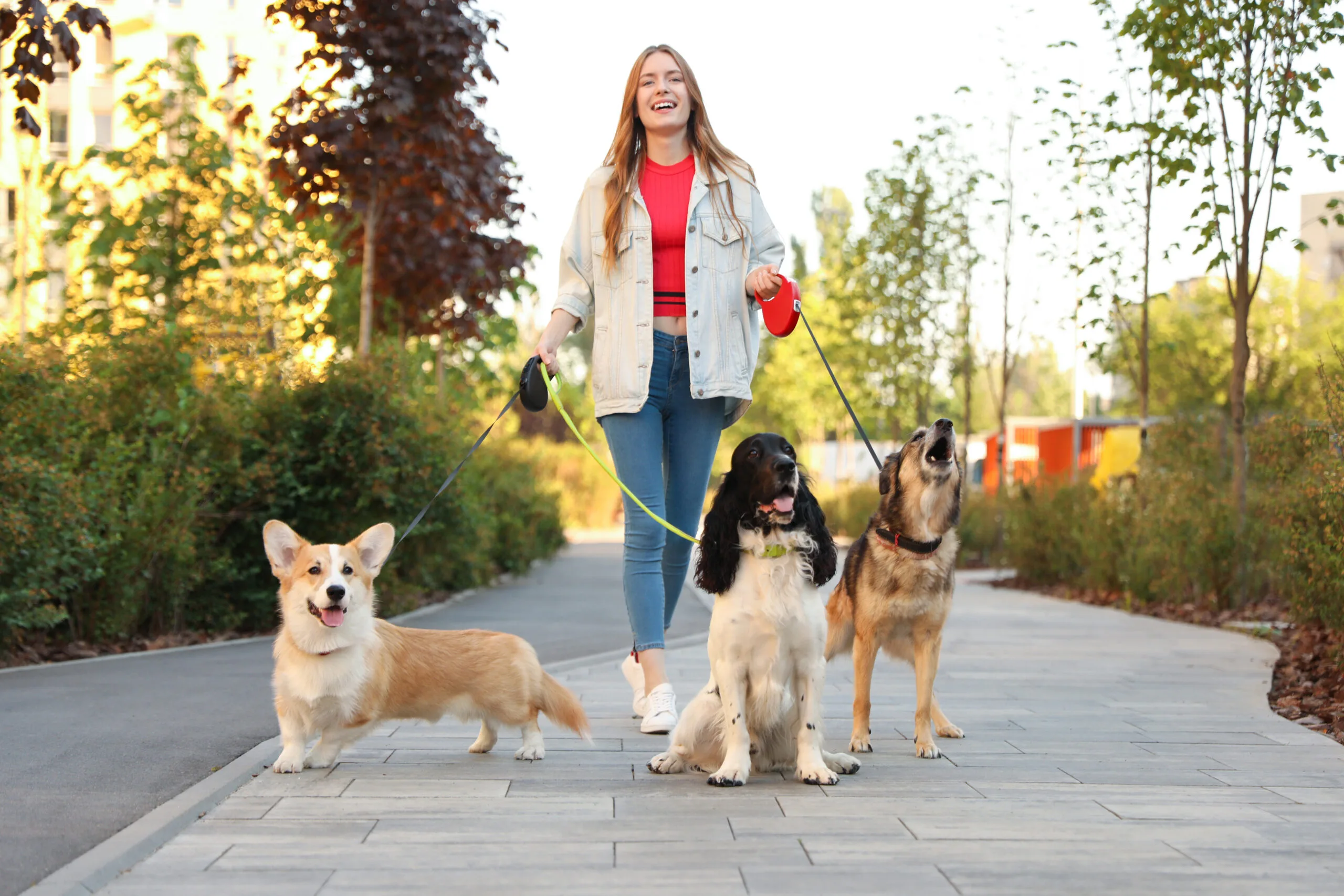 Walking a dog is a great way to get your steps in