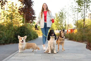 Walking a dog is a great way to get your steps in