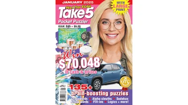 Take 5 Pocket Puzzler Issue 245