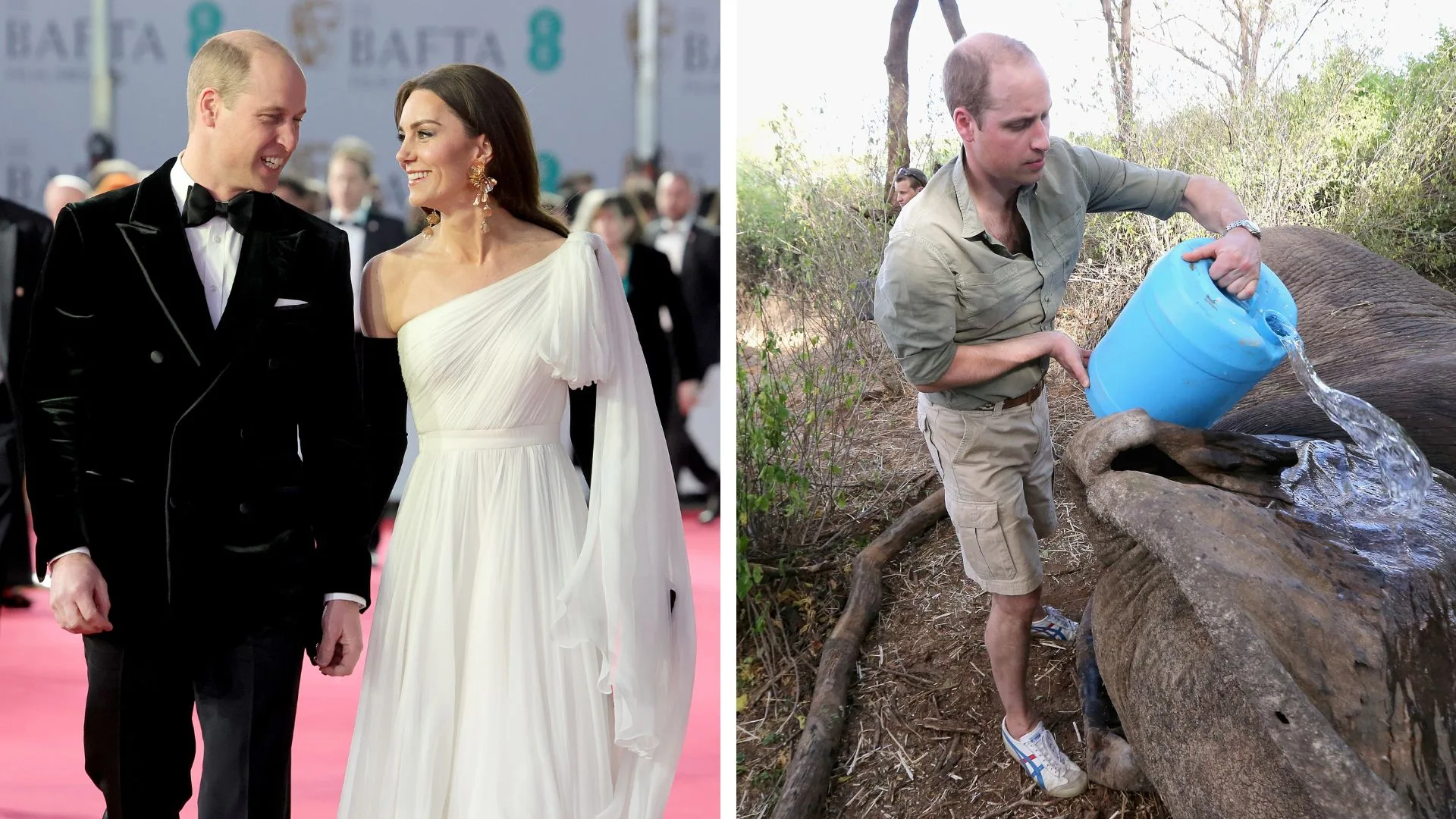 Did Kate and William renew their vows in Africa? | Now To Love