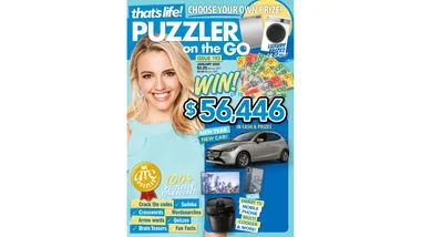 that’s life! Puzzler On The Go Issue 193