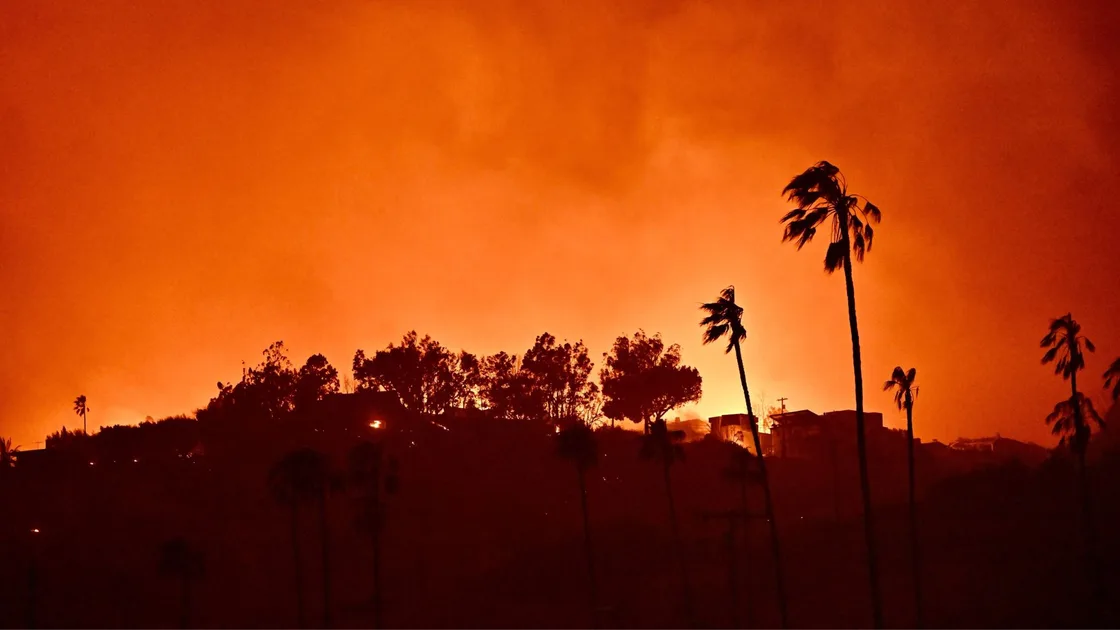 LIVE: Celebrities affected by LA fires | Now To Love