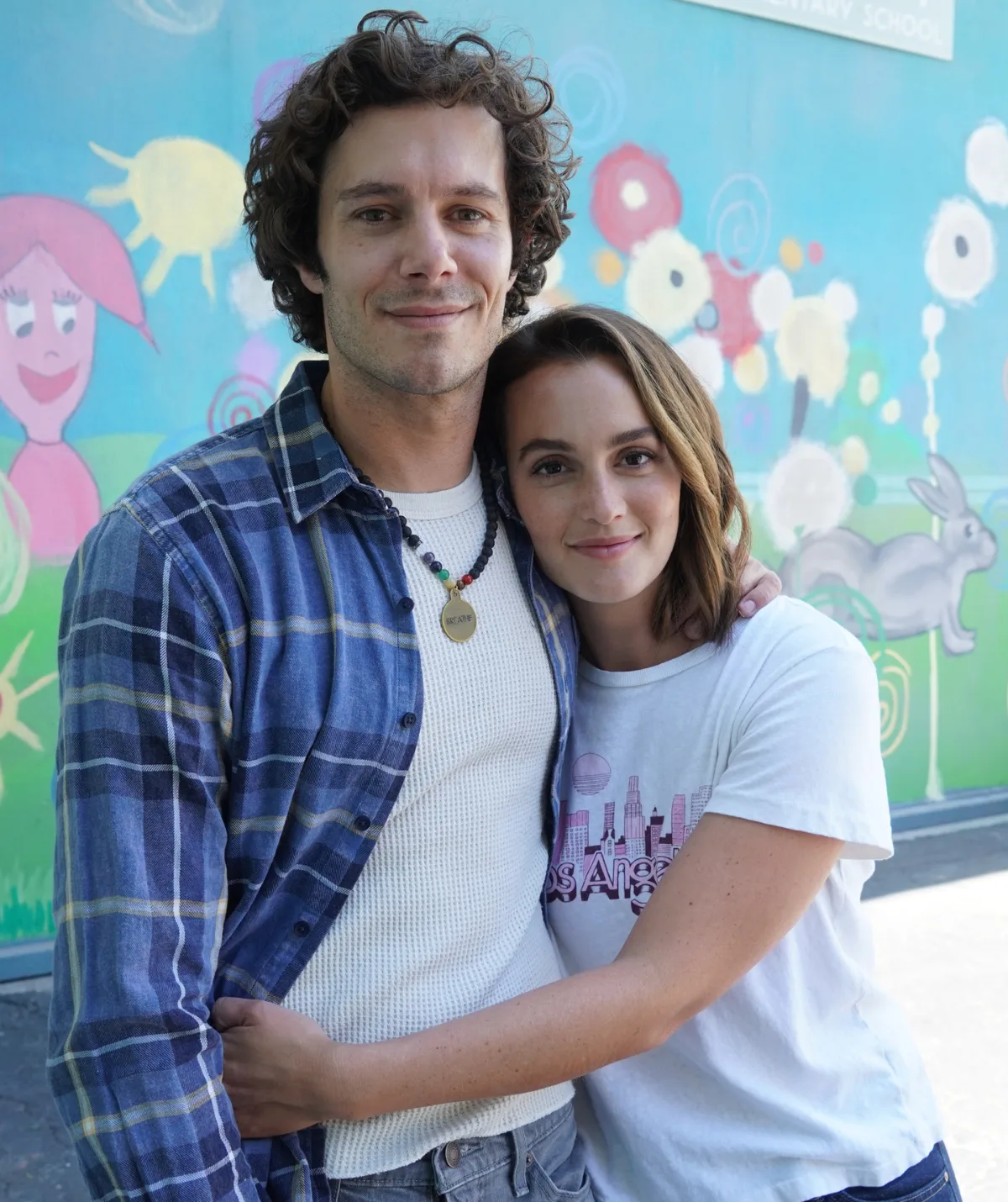 adam brody leighton meester career