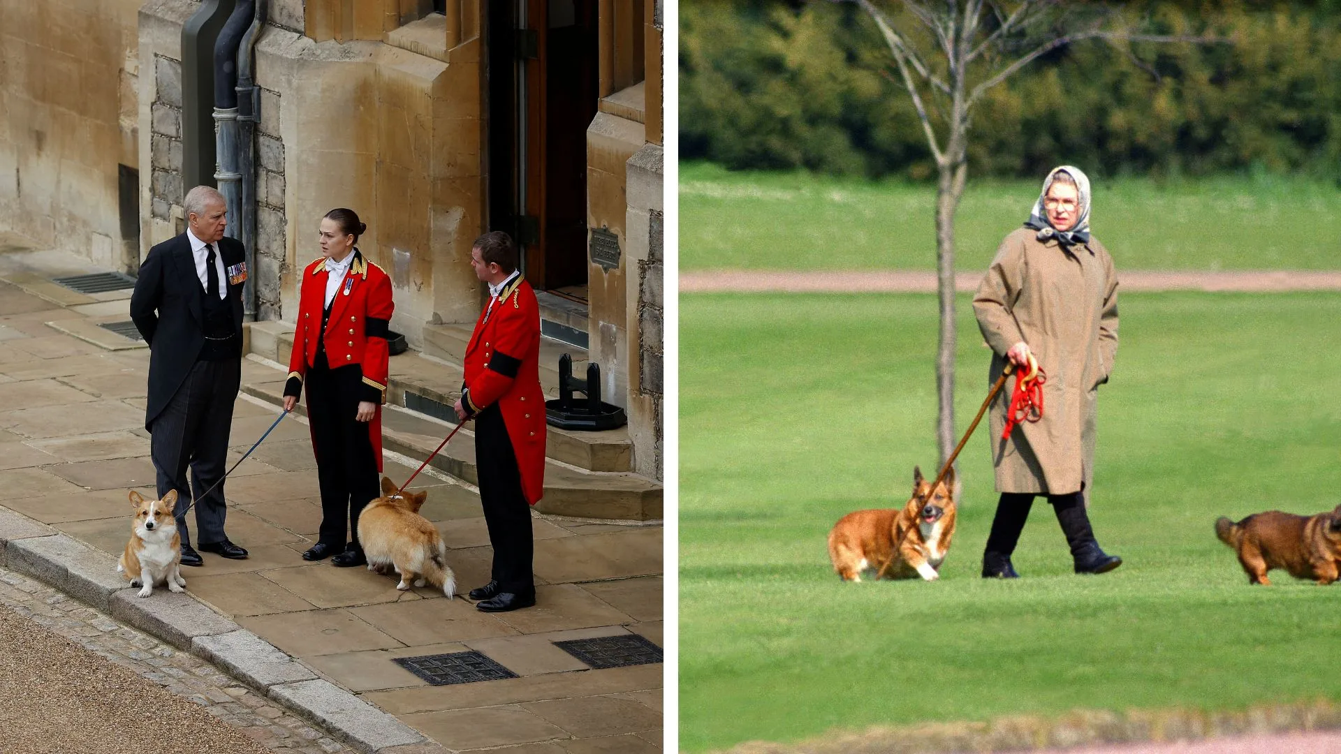 prince andrew and queen elizabeth with the queens corgis