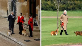 prince andrew and queen elizabeth with the queens corgis