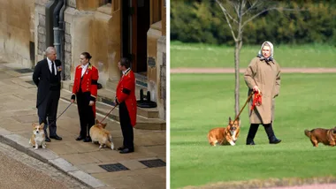 prince andrew and queen elizabeth with the queens corgis