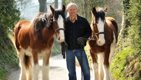 Martin Clunes with horses on his farm