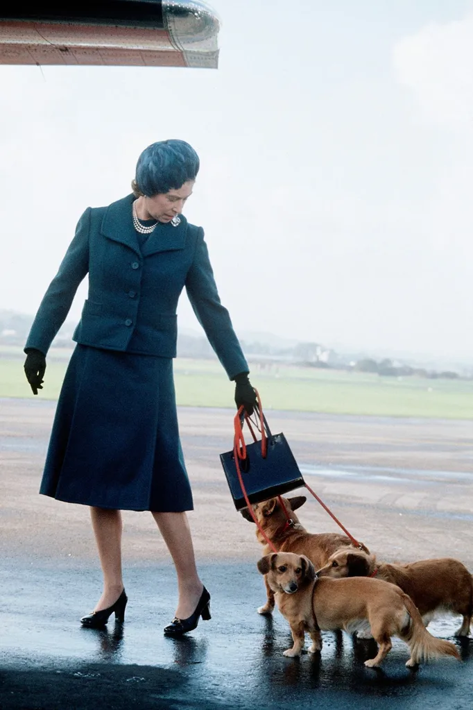 queen elizabeth with her corgis