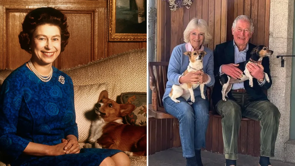 Meet the royal family’s beloved dogs