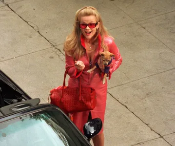 Legally Blonde 3: Cast, Plot, Release & Where To Watch | Now To Love