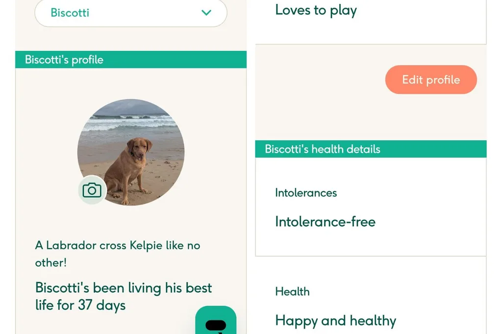 lyka pet food platform