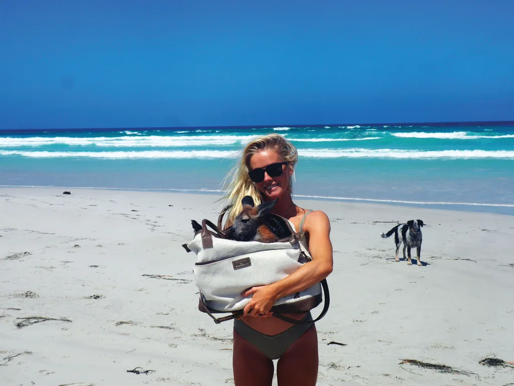 Brinkley at the beach with Bunji in her bag/pouch with Ohana playing in the background
