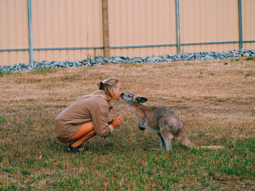 Brinkley in Khakis kissing Bunji in a paddock