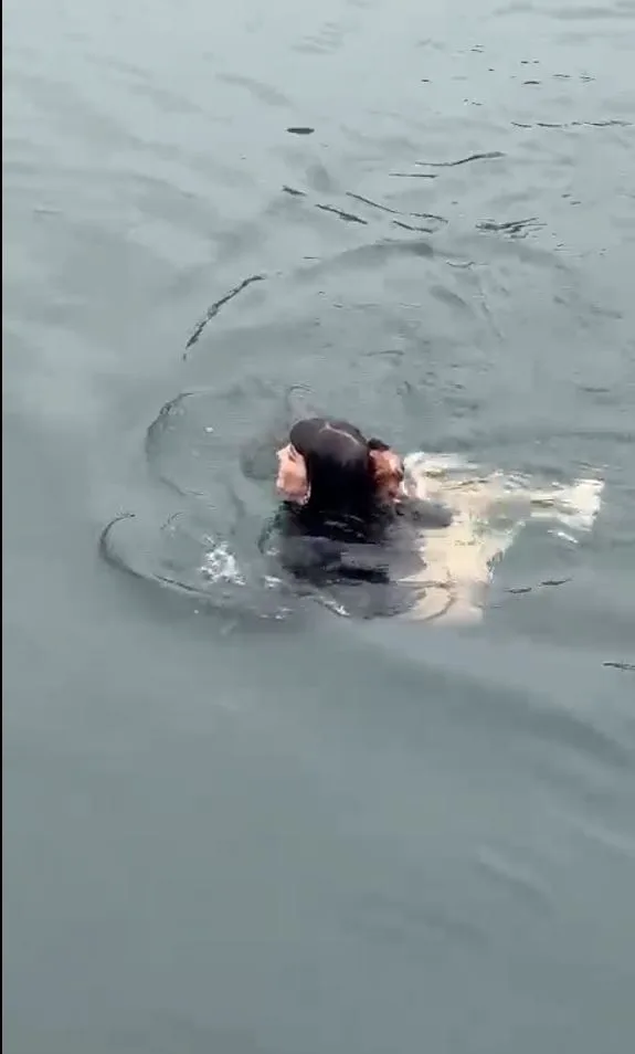 Shannon in the water performing the daring doggy rescue 