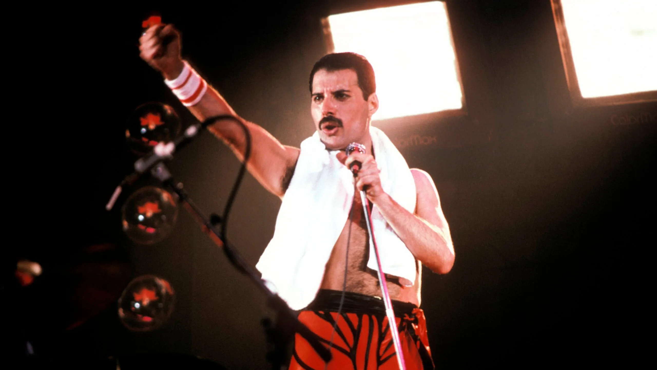 Queen frontman Freddie Mercury